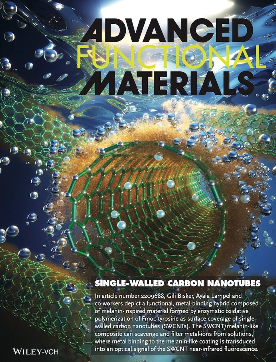 Gili Bisker, Advanced Functional Materials
