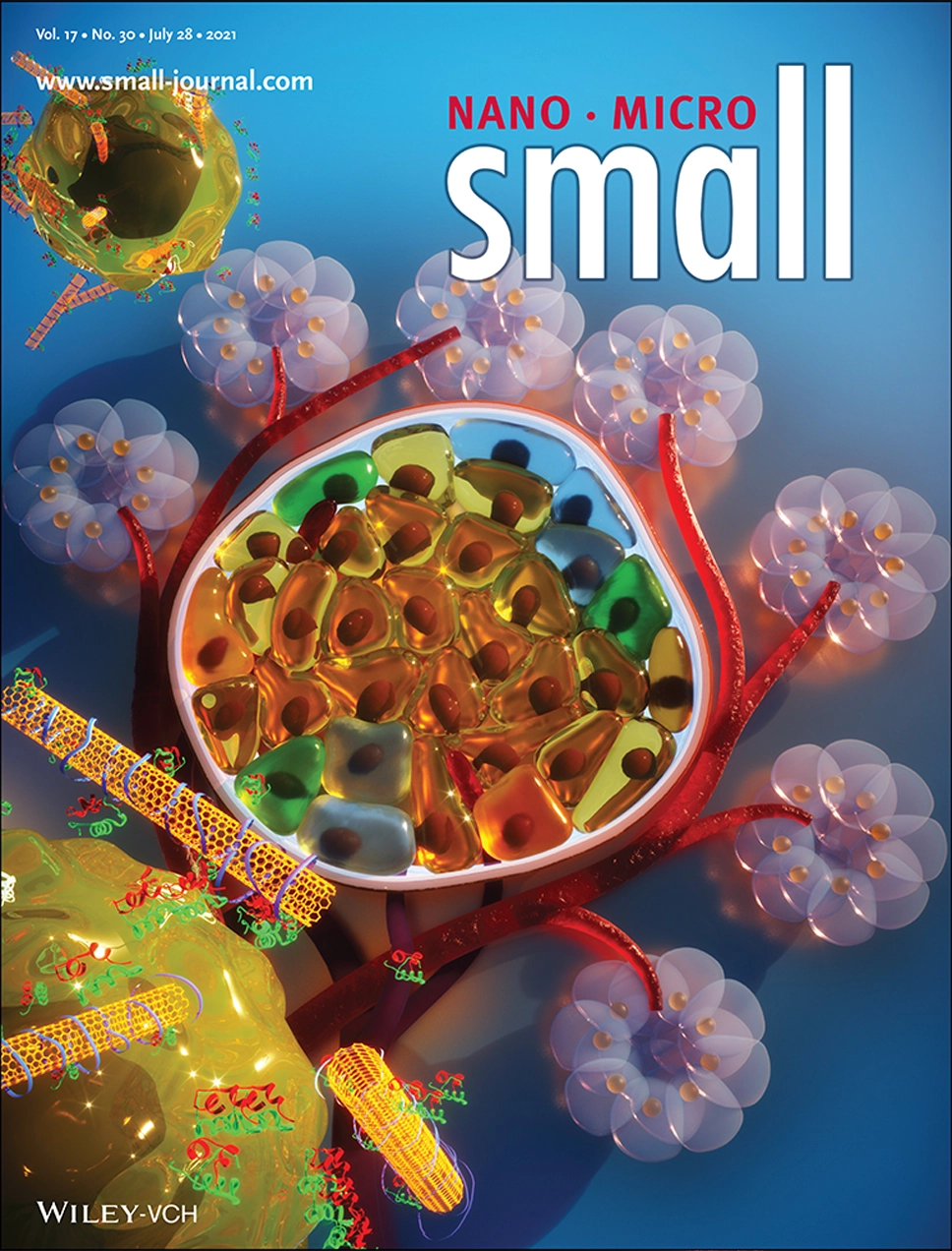 Gili Bisker, Nano Micro Small