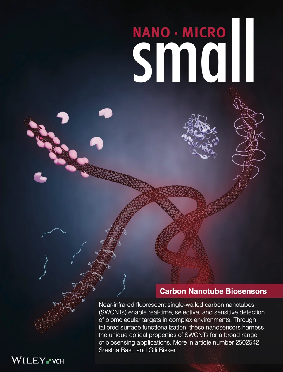 Gili Bisker, Nano Micro Small