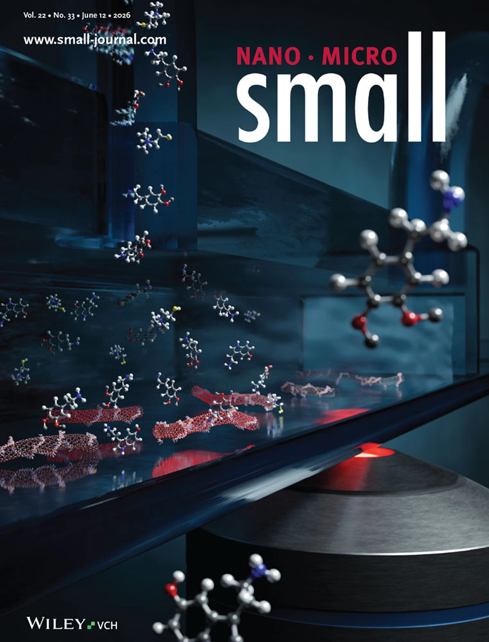 Gili Bisker, Nano Micro Small