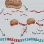 Scientists Get Sly, Use Deception To Fight Cancer