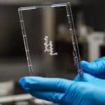 From Spinal Cord Tissues To Blood Vessels: Technion Inaugurates 3D Printing Center For Living Cells