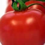 In Israel, You Say Tomato, I Say…AI?
