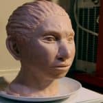 Israeli DNA Study Reveals Reconstructed Face of Mysterious, Long-Lost Human Relative