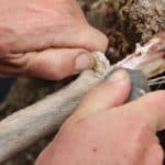 Israeli Researchers Discover Prehistoric Humans ‘Canned’ Bone Marrow