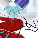 Probiotic Bacteria – A Double-Edged Sword
