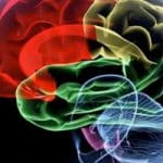 Technion, Bar-Ilan U. create protein administration chip for Alzheimer’s treatment