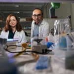 Researchers turn bacterial cell into biological computer