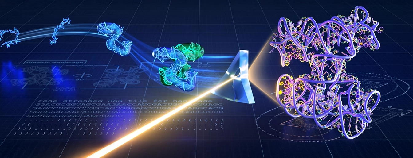 Weizmann Lab Lab Image