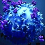 New method developed for selecting best drug therapy for given tumor based on assigning scores to cells’ internal messaging activities