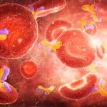 Boding well for immunity hope, scientists say all COVID patients make antibodies