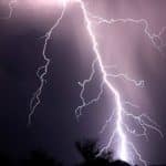 Electrical Activity in Living Organisms Mirrors Electrical Fields In Atmosphere
