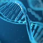Acquired traits may be transmitted to future generations – TAU study
