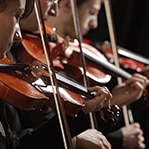 Researchers Study Violinists To Learn How Humans Act in Synchrony