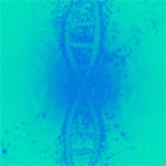 New genes for human deafness found in Israeli families