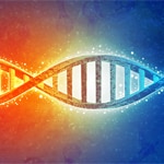 Hebrew University Closer to Harnessing DNA Molecules for Disease Detection and Electronics