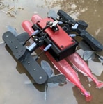 Cockroaches and lizards inspire new robot developed by Ben-Gurion University researcher