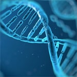 Hebrew U identifies genetic mutation that may aid autism therapy efforts