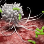 Hijacking the Host Defenses Gives Bacteria an Advantage
