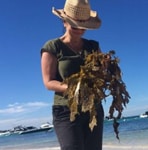 Using Seashells to Monitor Pollution