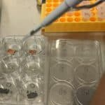 Ozone can disinfect rooms from Covid in minutes
