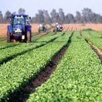 Israeli scientists develop bio-sensor to help prevent crop failures