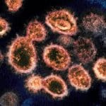 3 existing drugs fight coronavirus with ‘almost 100%’ success in Jerusalem lab