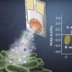 Ben-Gurion U. scientists invent an artificial nose for continuous bacterial monitoring