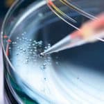 Research with no limits: Israeli universities provide innovations to worldwide issues