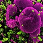 Maternal SARS-CoV-2 vaccination in early-third trimester may optimize neonatal seroprotection