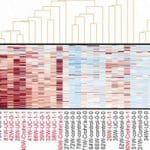 A Noninvasive Test for Gut Inflammation
