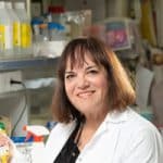 Anticancer breakthrough from BGU scientists could change how we treat the disease