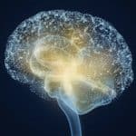Pain may be experienced in brainstem, not cerebral cortex, study shows