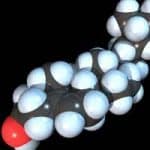 Small ‘good cholesterol’ particles may have a role in Alzheimer’s prevention