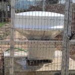 Haifa U Installs Innovative Radar to Gauge Number of Insects in Hula Lake