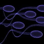 Israeli Scientists Grow Sperm on a Microchip