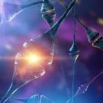 Israeli researchers discover gene mechanism thought to cause some forms of autism