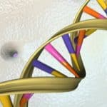 Israeli researchers find possible new therapies for rare neurological disorder