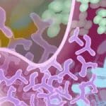 Researchers develop ‘bionic bacteria’ that create better fuels, chemicals
