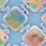 A new material could restore damaged nerves, heart pacing – study