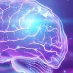 A new theory in physics claims to solve the mystery of consciousness