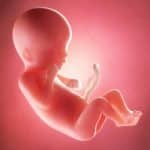 Shani Stern, Zuckerman Faculty Scholar at University of Haifa