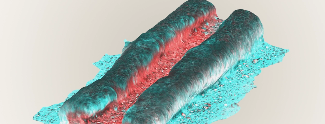 Karzbrun Lab Lab Image