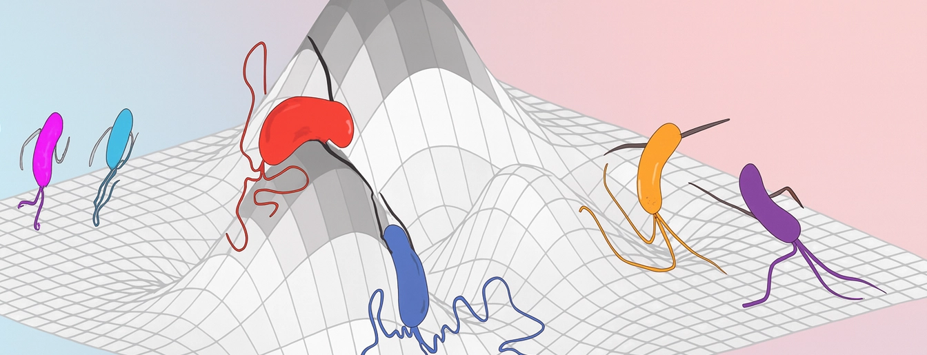 The Pearl Mizrahi Lab Lab Image