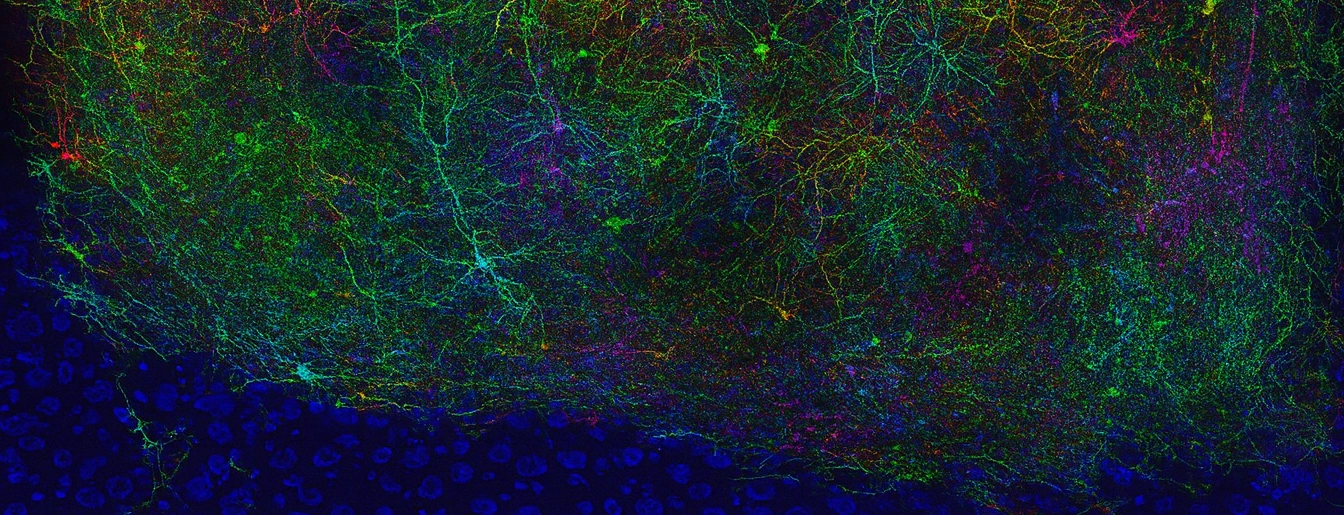 Ben-Shaanan Lab Lab Image