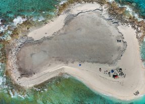 Going to the Ends of the Earth to Better Understand the Brain