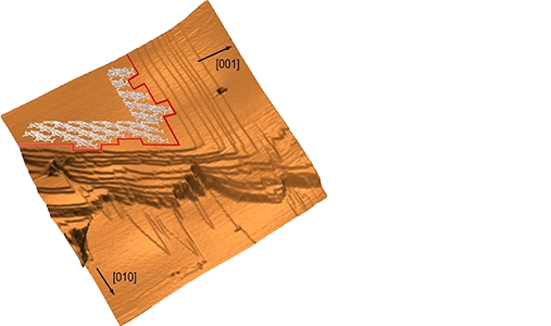 Cholesterol_Crystallization_at_Nanoscale