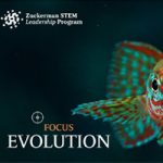 Evolution towards Revolution