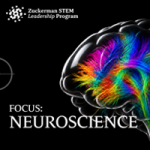 Focus Neuroscience and Why?